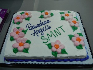 SMNT Cake